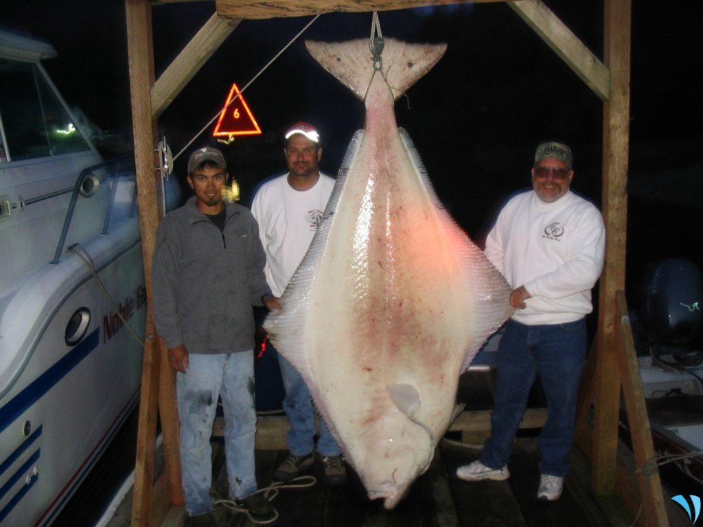 Alaska Halibut Fishing Sitka, AK Alaska Halibut Fishing Near Me
