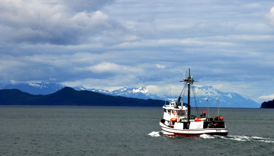 Alaska Fishing Charter