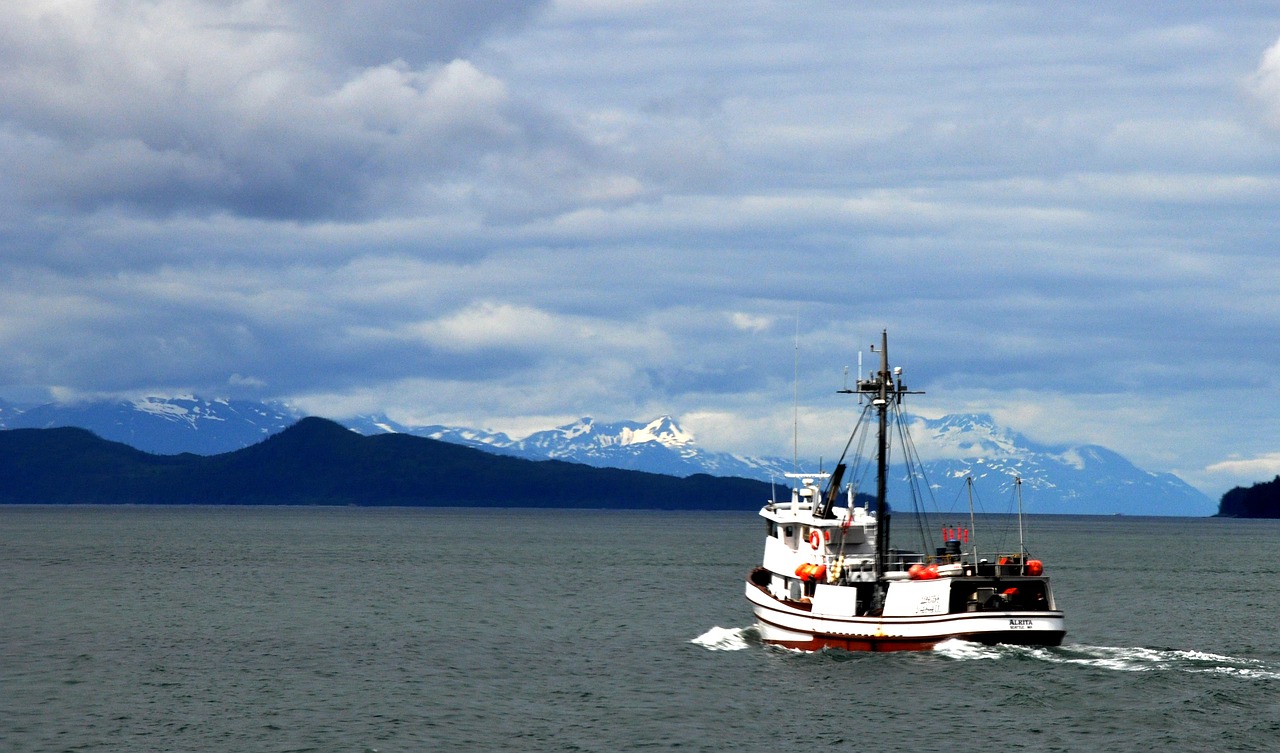 Learn About Action Alaska Sportfishing and the 35 ft Bertram Fishing Boat