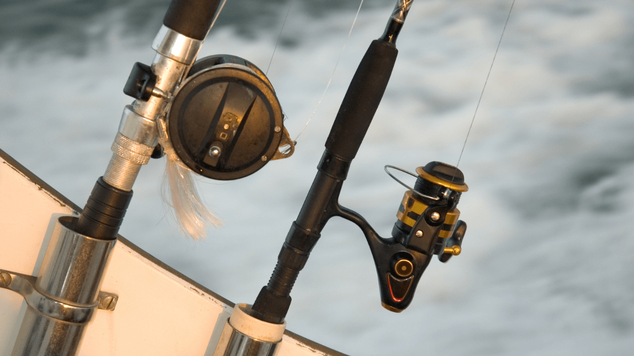 What Are the Best Spots to Go Sportfishing in Sitka Alaska?