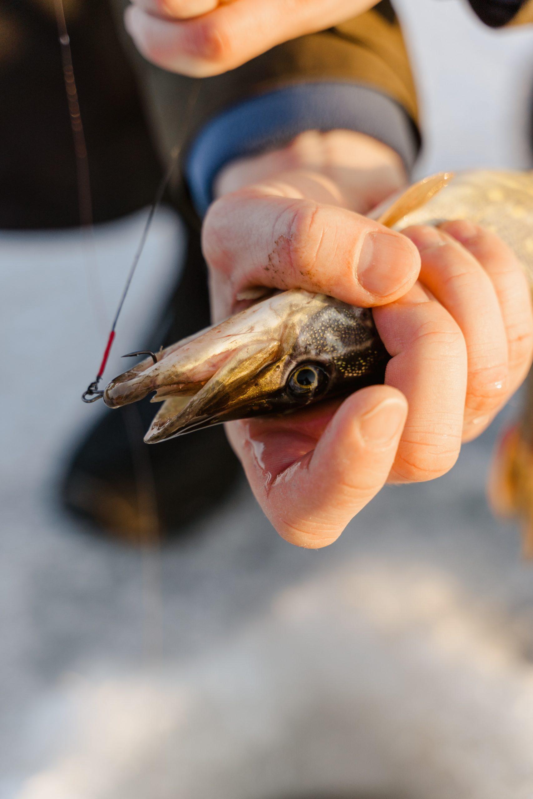 Charter Fishing Season In Sitka Is Just Around The Corner