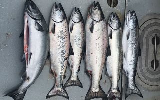Alaska Salmon Fishing Charter